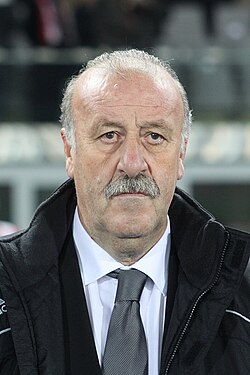 Vicente-del-Bosque
